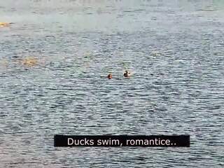 Romantiline suhuvõtmine edasi a rand kohta armastus koos ducks: porno 01 | xhamster