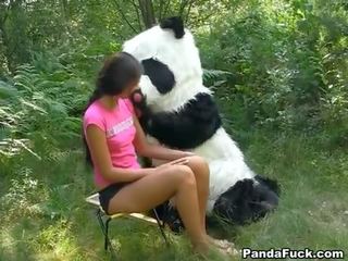Seksas video į as miškai su a didžiulis žaislas panda
